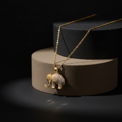 Eternal Fortune Women's Necklace